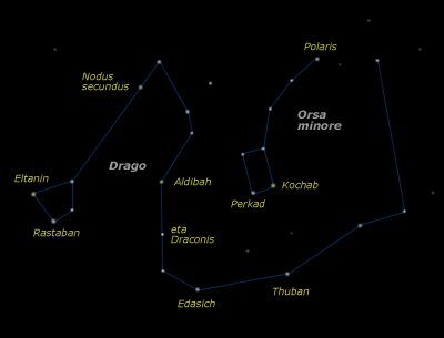 Orsa minore - Drago